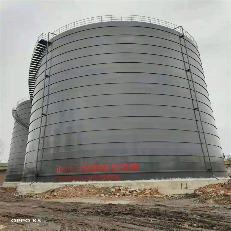 新宾3万吨大型钢板库