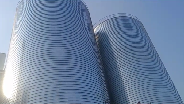 新宾2座混凝土高架卷板仓